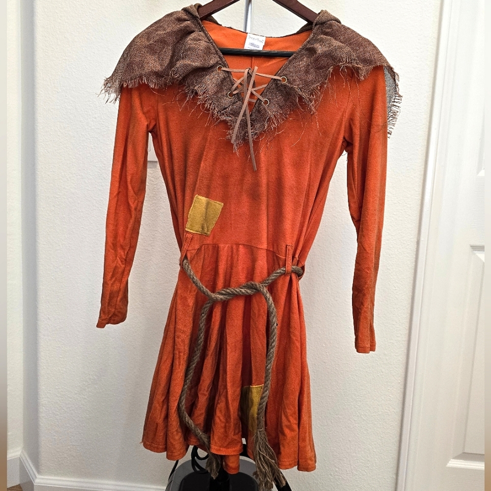 Spirit Sam Hooded Dress Halloween Costume - Womens Medium